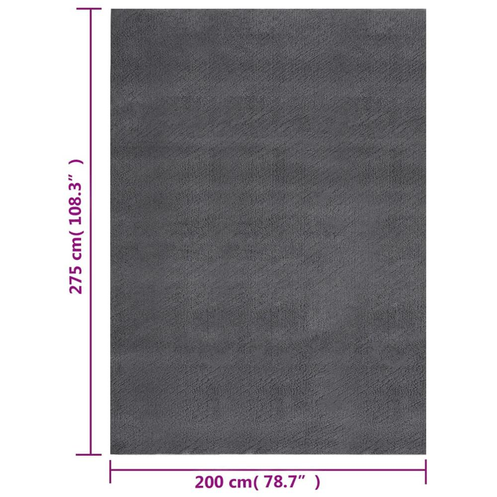 Dark Grey - Chic Fluffy Transitional Rug (7'x9')